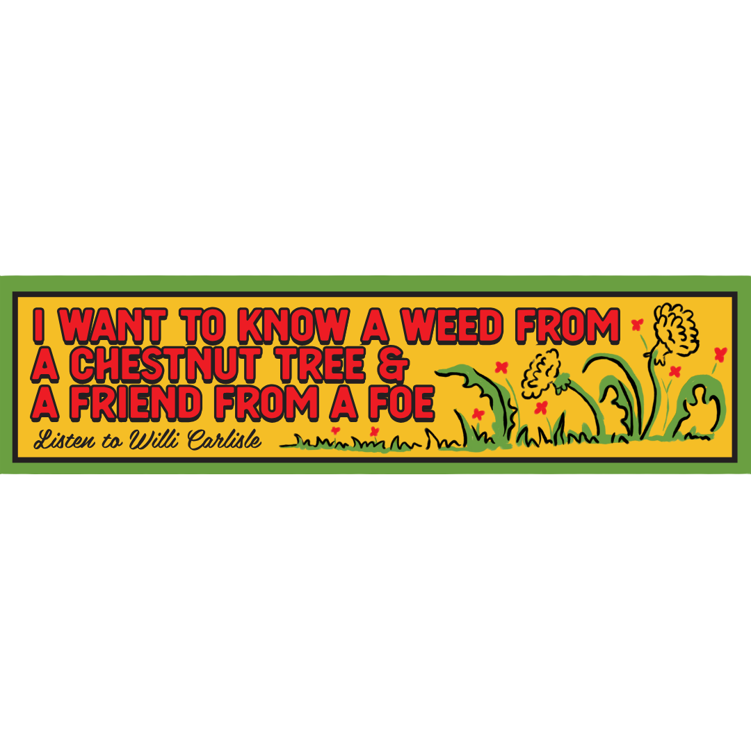 "Friend From A Foe" Bumper Sticker