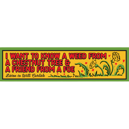 "Friend From A Foe" Bumper Sticker