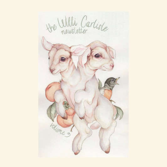 Willi's Zine #3 - May '24